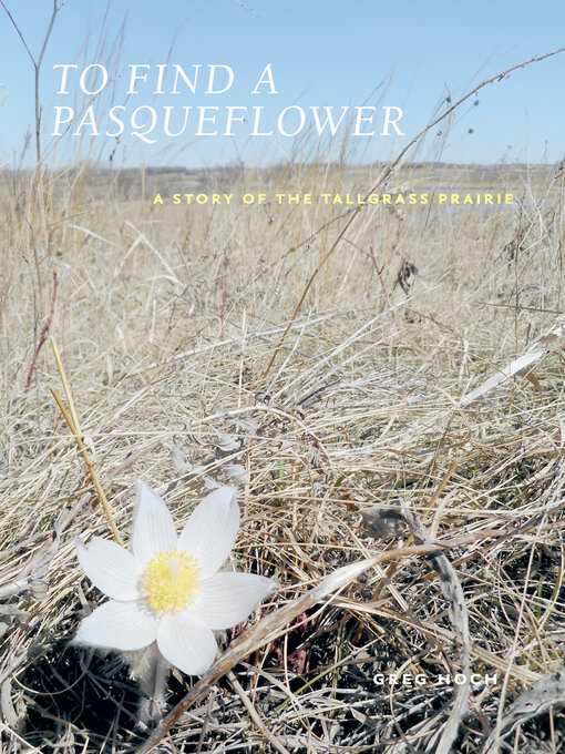 Title details for To Find a Pasqueflower by Greg Hoch - Available